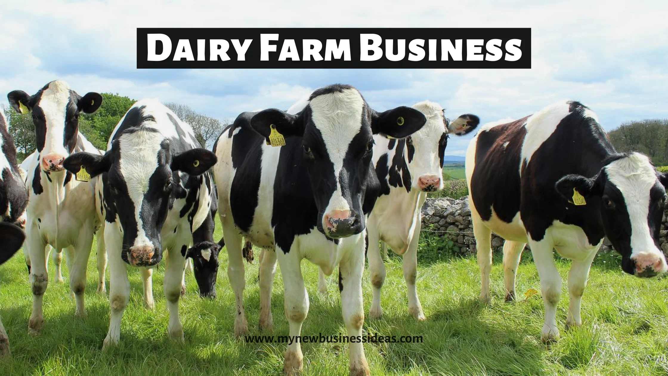 dairy farming business plan india in hindi