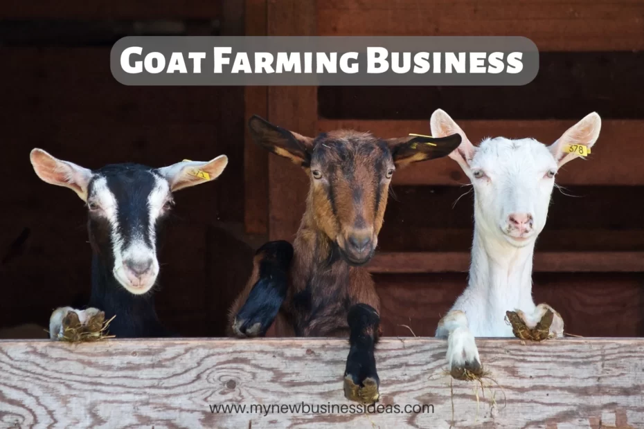 How to Start a Goat Farming Business