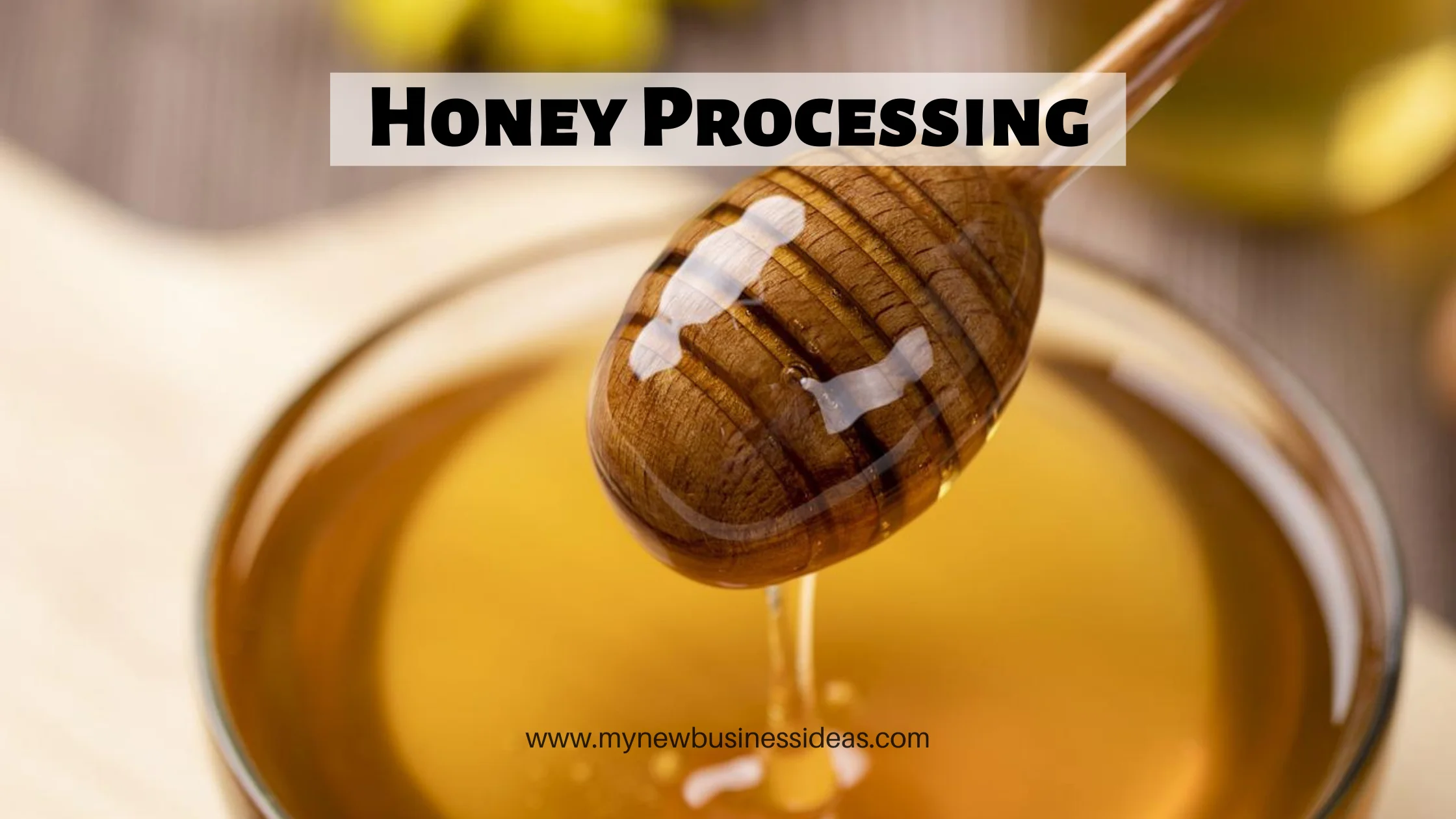 How to Start Honey Processing Plant Business on Small Scale