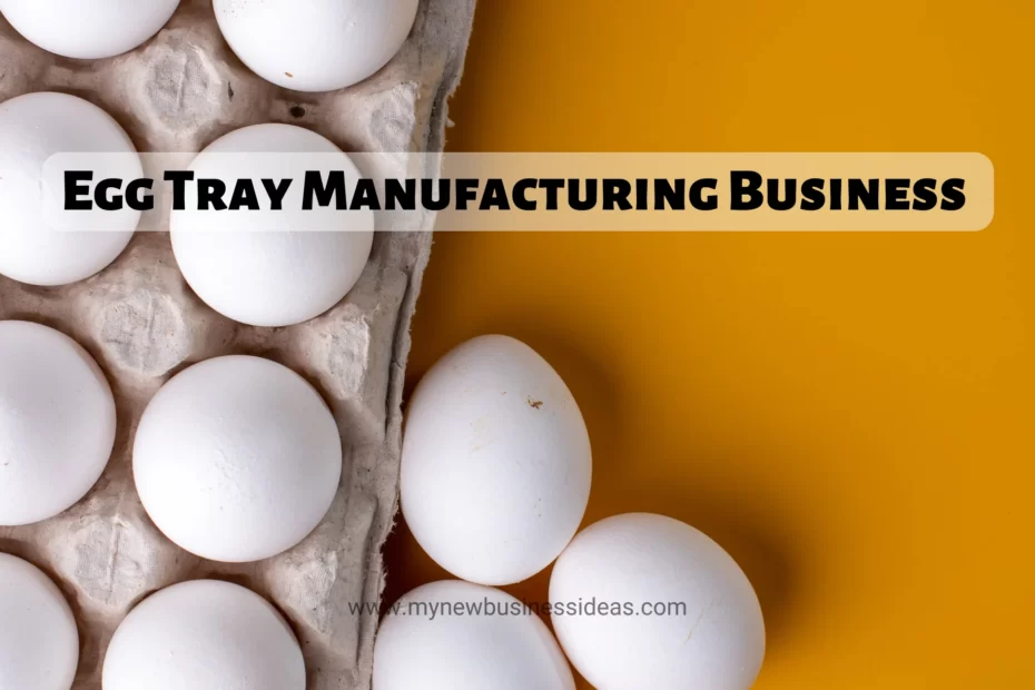 How to Start Egg Tray Manufacturing Business