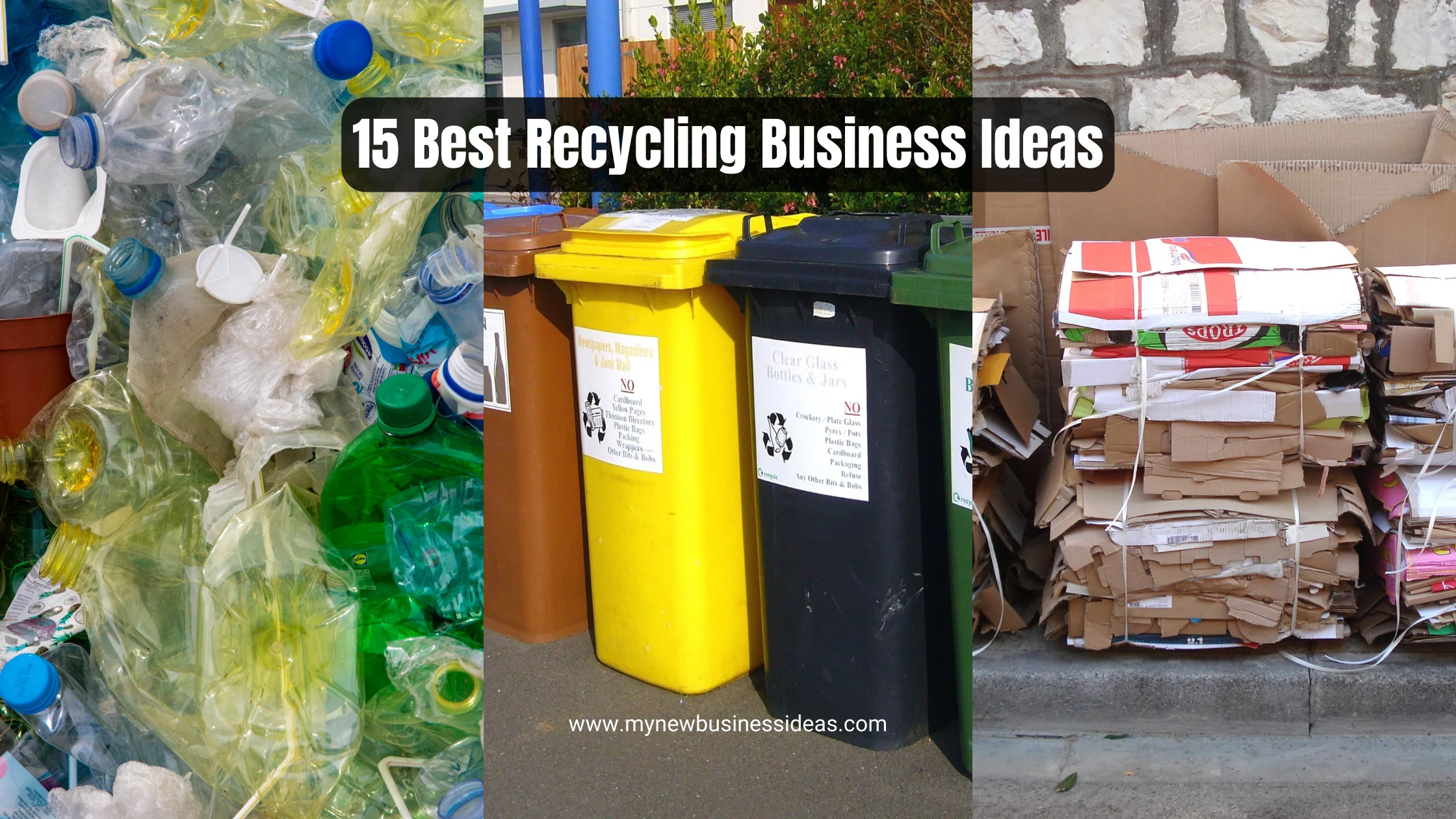 15 Best Recycling Business Ideas To Make You Some Extra Money   15 Best Recycling Business Ideas.webp