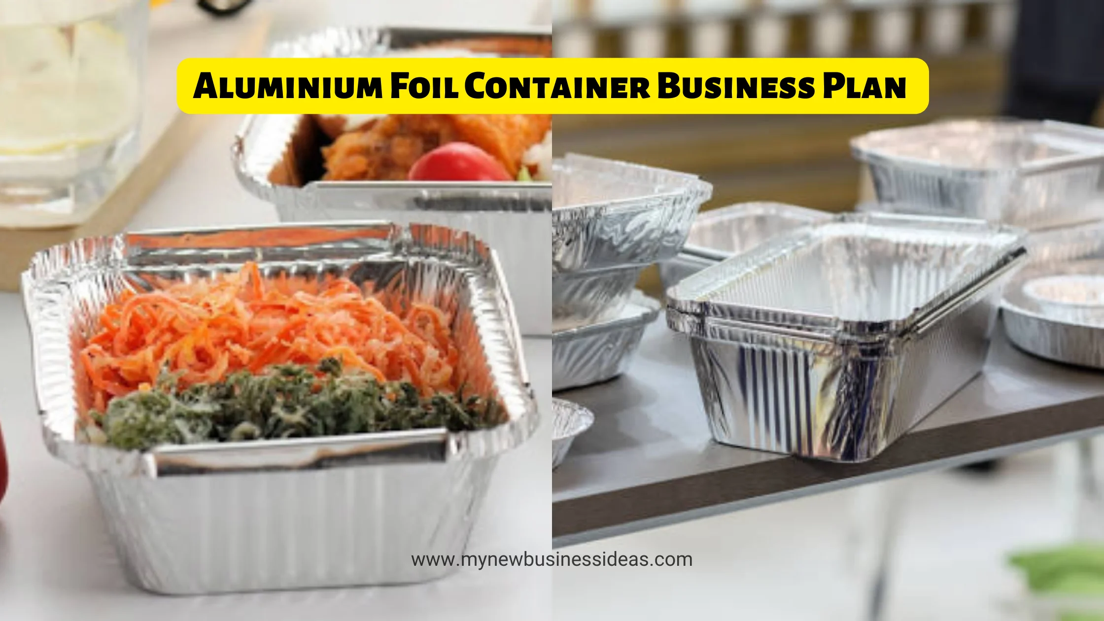 Aluminium Foil Container Business Plan The Ultimate Guide