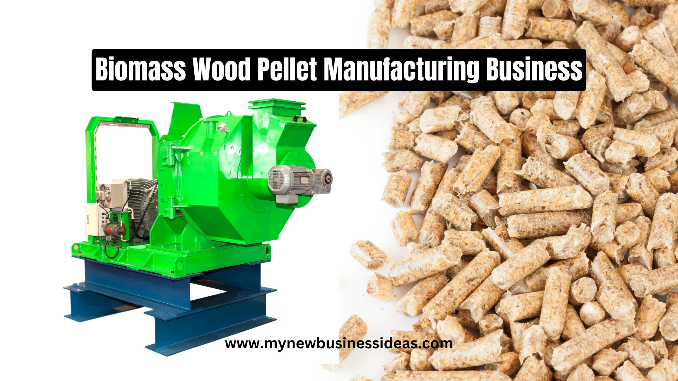 biomass pellet business plan in india