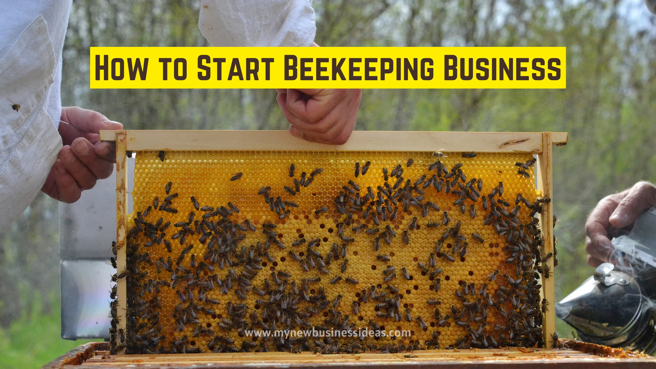 How To Start Beekeeping Business - Beekeeping Business Plan ...