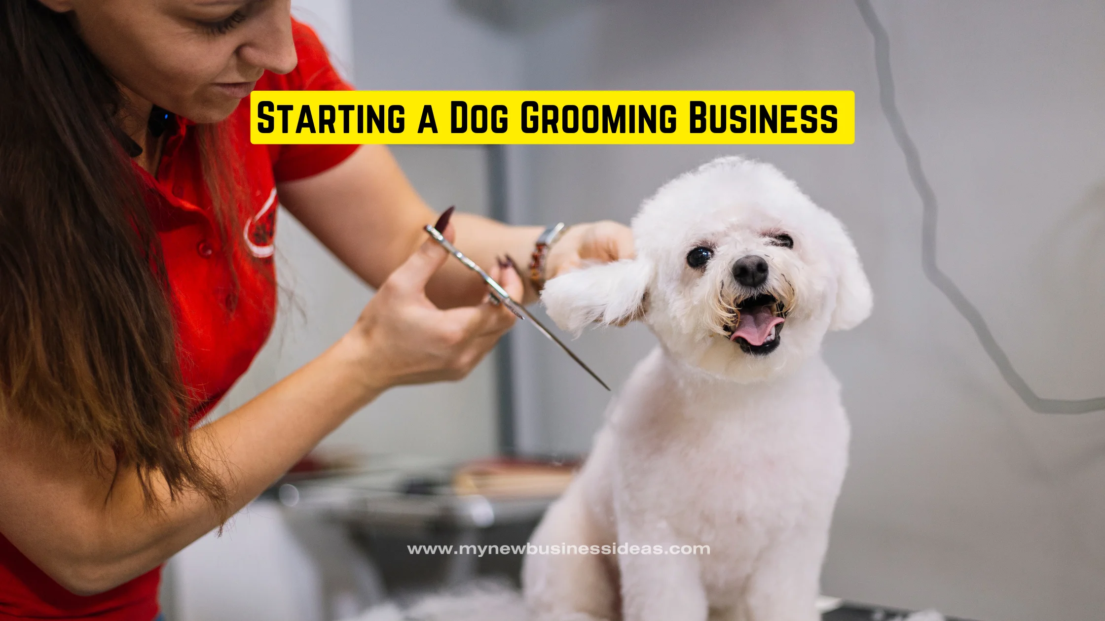 Starting A Dog Grooming Business - The Step-by-Step Guide